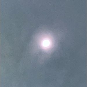 Meet your Posher, Zoey